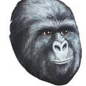 Meet your Posher, Jimmy